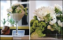 www.floristic.ru - .       - ?