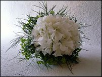 www.floristic.ru - .  .