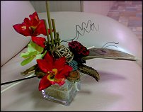 www.floristic.ru - .  .