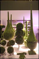 www.floristic.ru - Флористика. Стабилизированные или консервированные растения - аналог искусственных цветов!