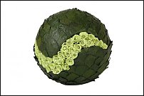www.floristic.ru - Флористика. Стабилизированные или консервированные растения - аналог искусственных цветов!