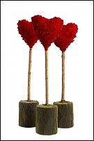 www.floristic.ru - Флористика. Стабилизированные или консервированные растения - аналог искусственных цветов!