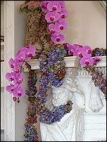 www.floristic.ru - Флористика. Стабилизированные или консервированные растения - аналог искусственных цветов!