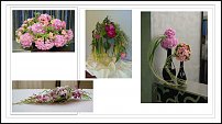 www.floristic.ru - .     