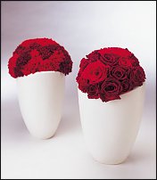 www.floristic.ru - .     -   !