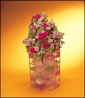 www.floristic.ru - Флористика. Стабилизированные или консервированные растения - аналог искусственных цветов!