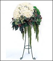 www.floristic.ru - .     -   !