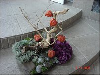 www.floristic.ru - .  