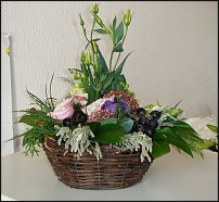 www.floristic.ru - .  