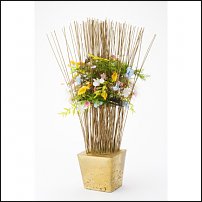www.floristic.ru - Флористика. Стабилизированные или консервированные растения - аналог искусственных цветов!