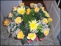 www.floristic.ru - .  