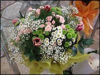 www.floristic.ru - .  