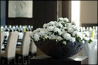 www.floristic.ru - Флористика. Новогоднее оформление различных интерьеров