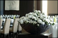 www.floristic.ru - .    