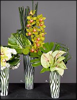 www.floristic.ru - .  