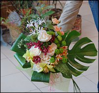 www.floristic.ru - .  