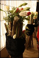 www.floristic.ru - .        25.12.2009+6.02.2010