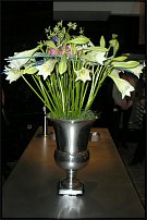 www.floristic.ru - .        25.12.2009+6.02.2010