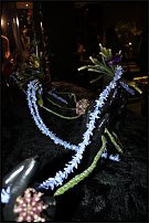 www.floristic.ru - .        25.12.2009+6.02.2010