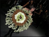 www.floristic.ru - .        25.12.2009+6.02.2010