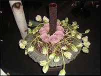 www.floristic.ru - .        25.12.2009+6.02.2010