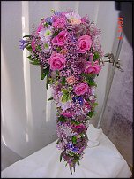 www.floristic.ru - .  .