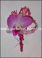 www.floristic.ru - .  .