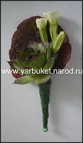 www.floristic.ru - .  .