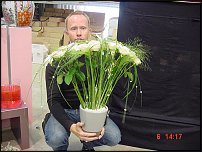 www.floristic.ru - .  