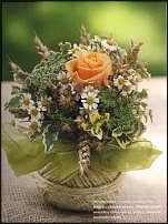 www.floristic.ru - .  !!