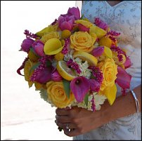 www.floristic.ru - . , ....