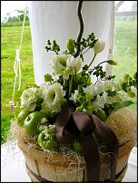 www.floristic.ru - . , ....