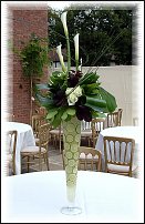 www.floristic.ru - . , ....