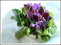 www.floristic.ru - .  .