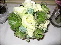 www.floristic.ru - .  .