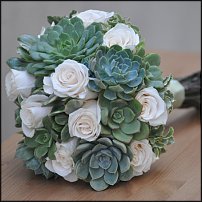 www.floristic.ru - .  .