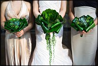 www.floristic.ru - .  .