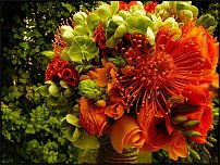 www.floristic.ru - .  .