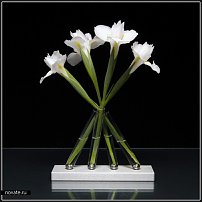 www.floristic.ru - .   ?