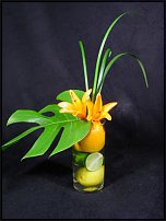 www.floristic.ru - . , ....