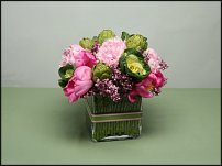 www.floristic.ru - . , ....