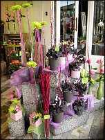 www.floristic.ru - .       - ?