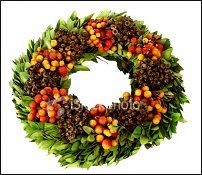 www.floristic.ru - . , ....