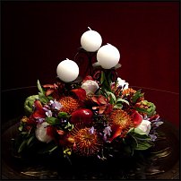 www.floristic.ru - . , ....