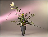 www.floristic.ru - .  . .    .