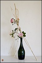 www.floristic.ru - .   ?