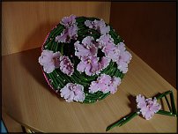 www.floristic.ru - .  