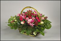 www.floristic.ru - . ,  .