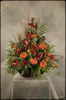 www.floristic.ru - . ,  .