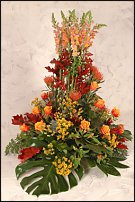 www.floristic.ru - . ,  .